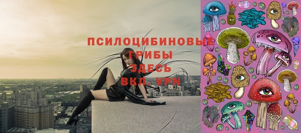 спиды Алзамай