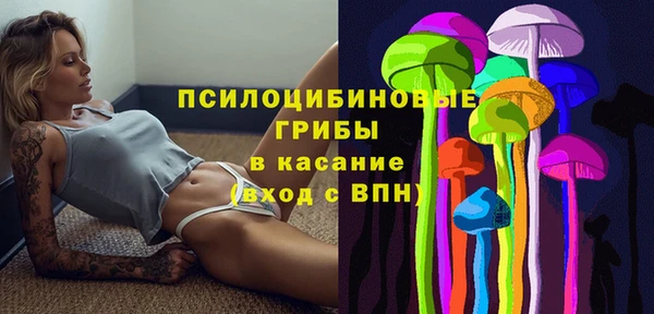 a pvp Алексин